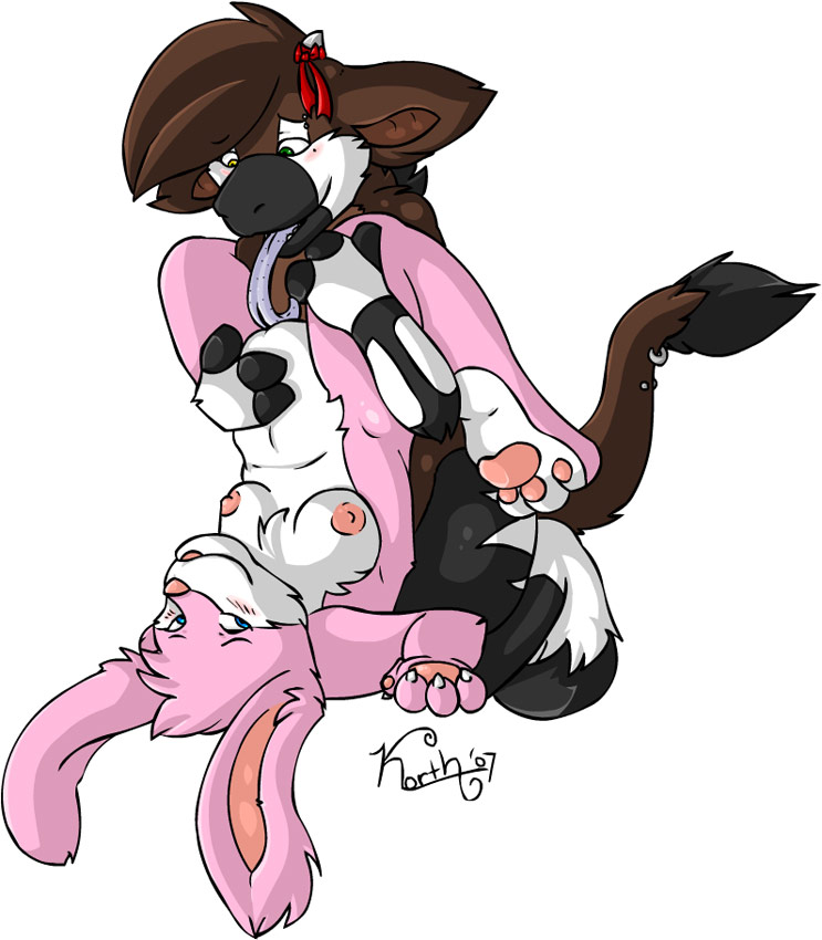 furry.booru.org siterip 36,000~37,999 page 4 full