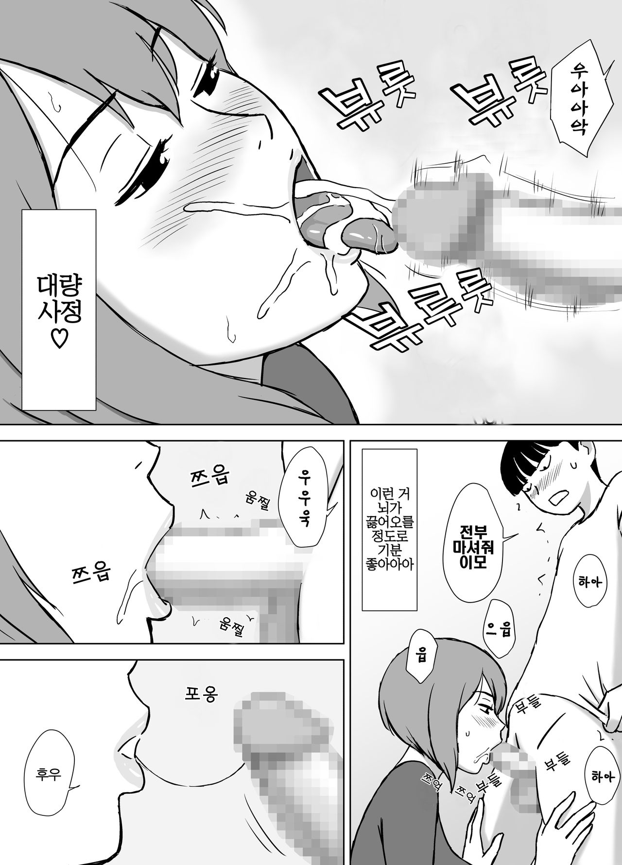 Boku no SeFri wa Haha to Oba | 나의 섹스프렌드는 엄마와 이모 page 11 full