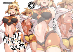 Symphogear no Usui Hon | 심포기어 얇은 책