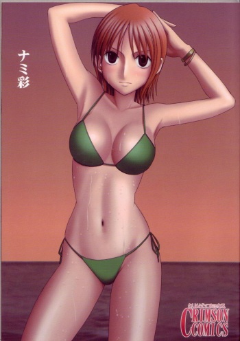 [Crimson Comics (Carmine)] Nami Sai (One Piece) cover