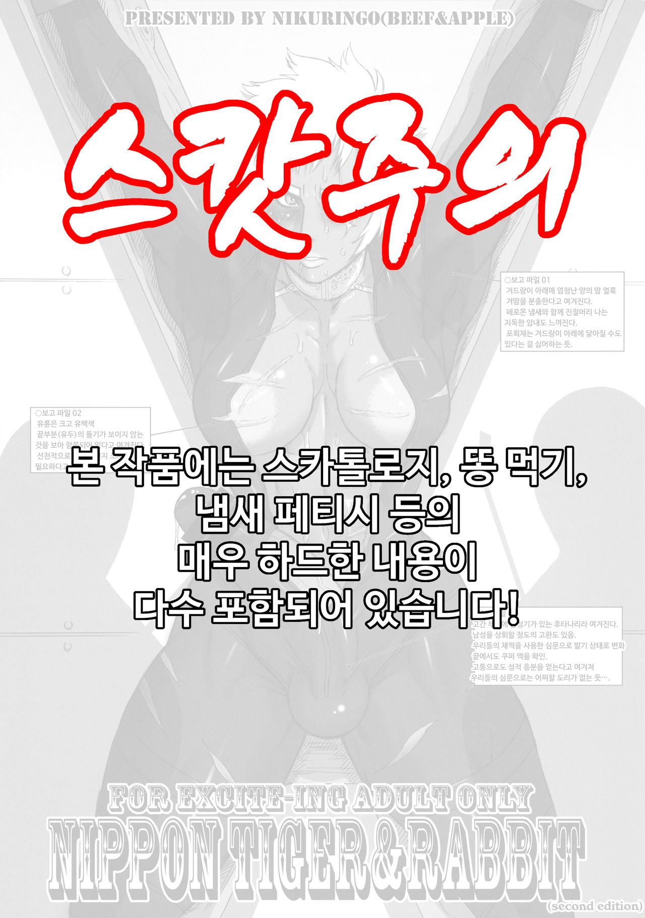 NIPPON TIGER & RABBIT page 1 full