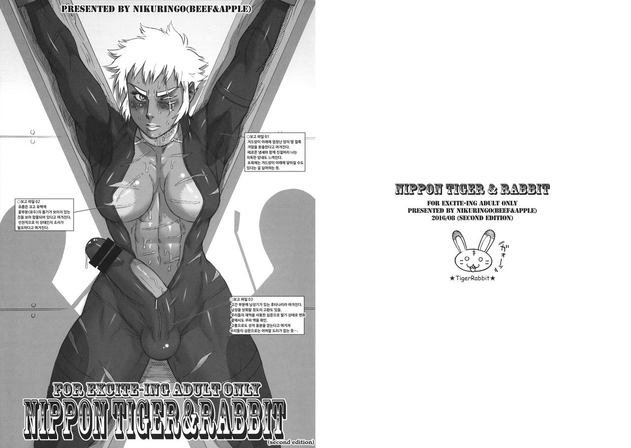 NIPPON TIGER & RABBIT page 2 full