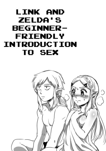 [Wasabi] Link to Zelda no Shoshinsha ni Yasashii Sex Nyuumon | Link and Zelda's Beginner-friendly Introduction To Sex (The Legend of Zelda: Breath of the Wild) [English] [q91] cover