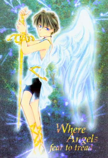 [FIGARO HOUSE (Nishikanda Maneko)] Where Angles fear to tread (Gundam Wing) cover