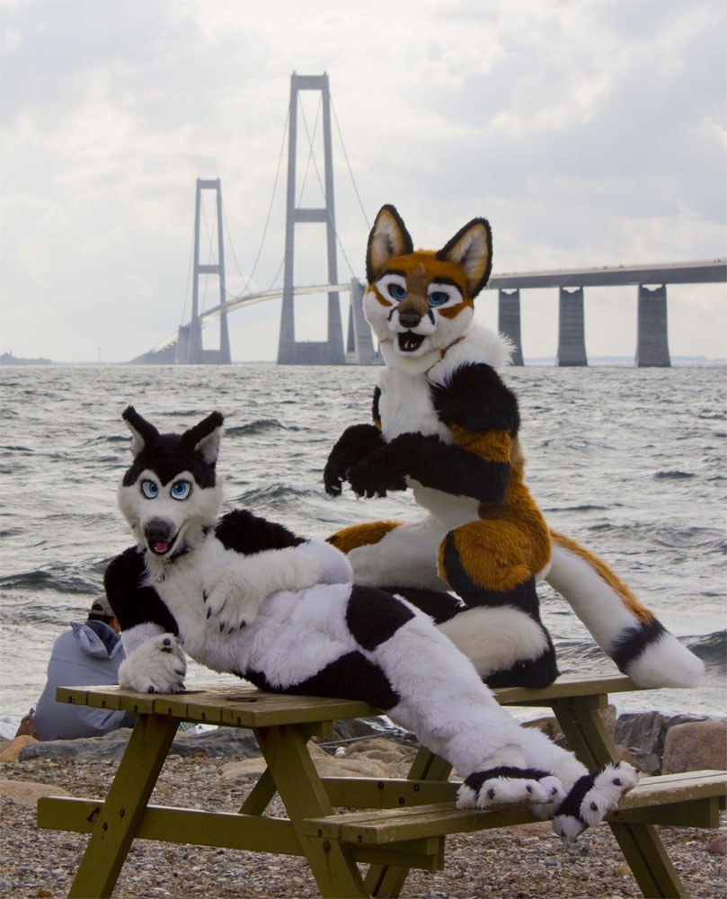 furry.booru.org siterip 64,000~65,999 page 10 full