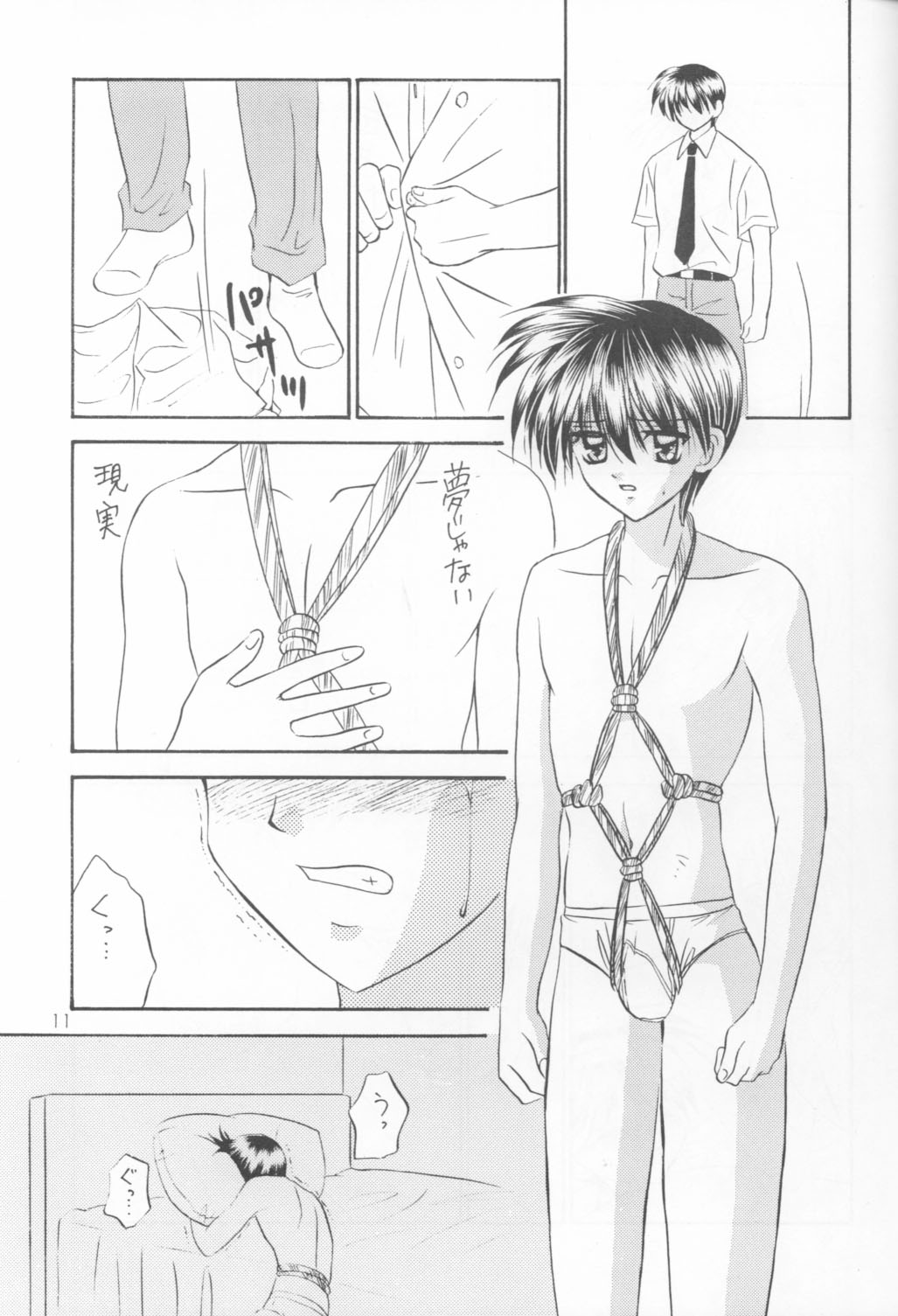 Bishounen Kinbaku Nisshi VIII page 10 full