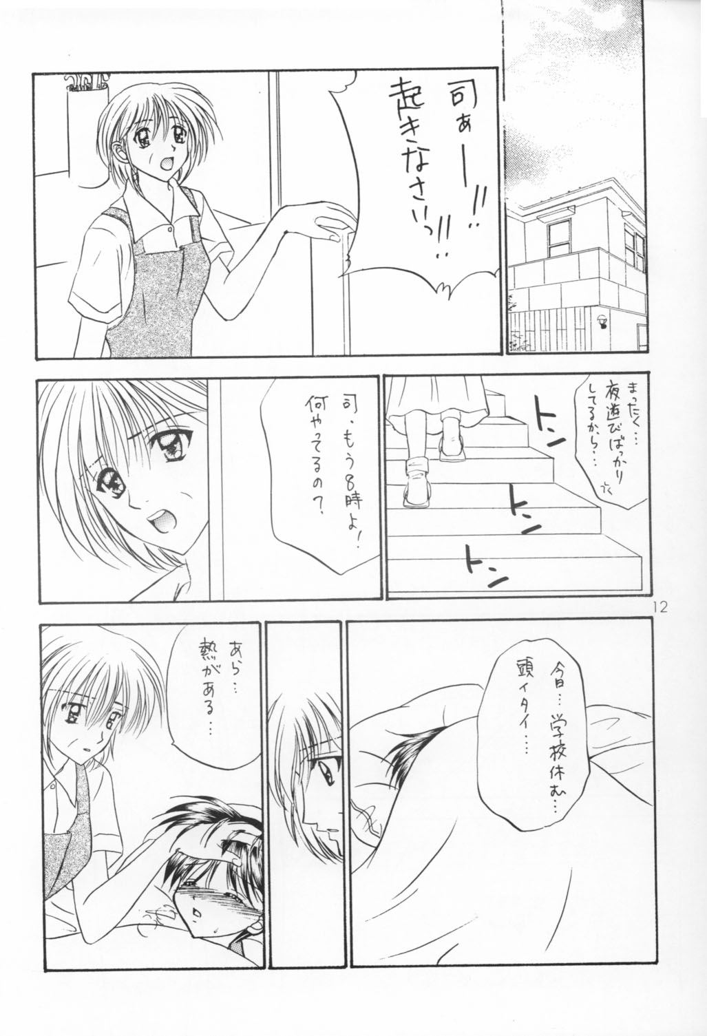 Bishounen Kinbaku Nisshi VIII page 11 full