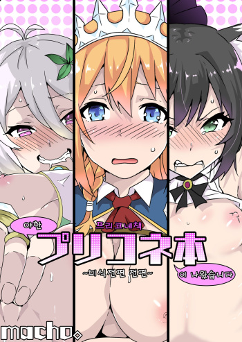 [Macho.] Ecchi na PriConne Bon ga Dekimashita ~Bishokuden Hen Zenpen~ (Princess Connect! Re:Dive) [Korean] cover
