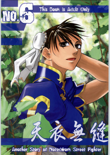 [Kouchaya (Ootsuka Kotora)] Tenimuhou No.6 - Another Story of Notedwork Street Fighter (Street Fighter) [English] [obsoletezero] cover