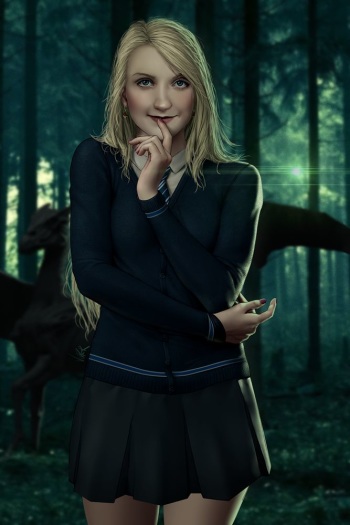 ViiPerArt Harry Potter works cover