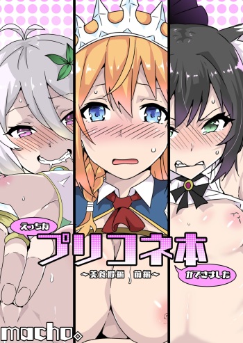 [Macho.] Ecchi na PriConne Bon ga Dekimashita ~Bishokuden Hen Zenpen~ (Princess Connect! Re:Dive) cover
