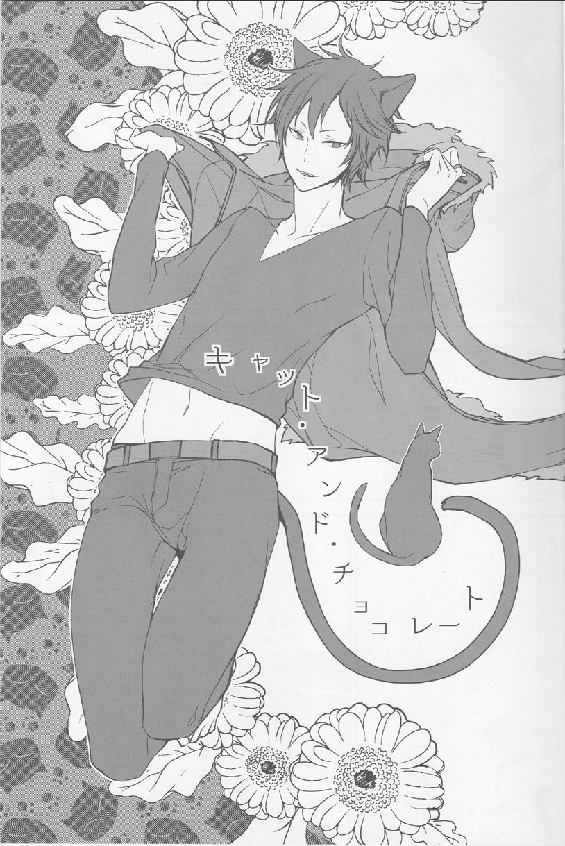 Cat & Chocolate page 2 full