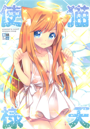 [Momo9 (Shiratama Yomogi)] Neko Tenshi-sama [Digital] cover