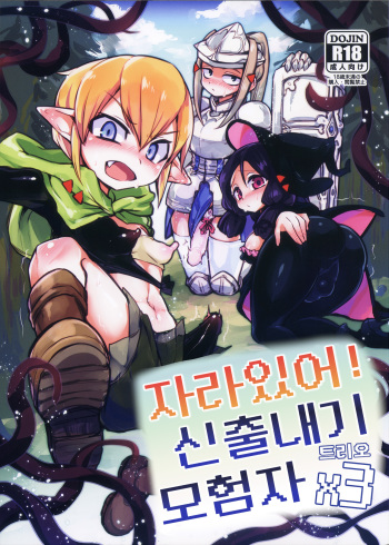 (Futaket 14.5) [Piepillow (Appyalpie)] Haeteru! Kakedashi Boukensha Trioㅣ자라있어! 신출내기 모험자 트리오 [Korean] cover