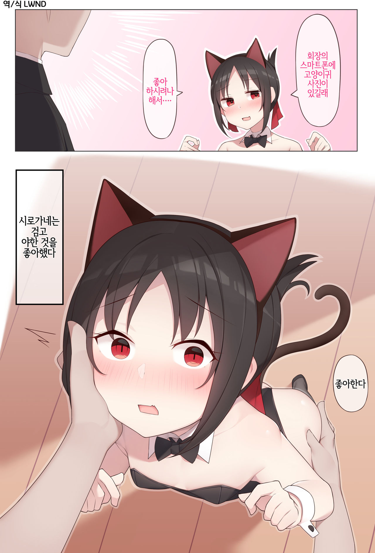 Nekomimi no Kaguya-sama page 1 full