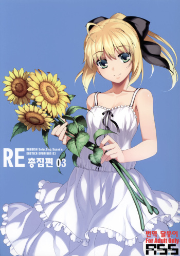 (C88) [RUBBISH Selecting Squad (Namonashi)] RE Soushuuhen 03 | RE 총집편 03 (Fate/stay night) [Korean] [달붕이] [Incomplete] cover