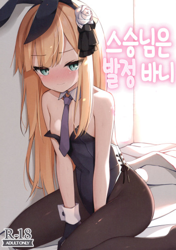 (C97) [Mumumu (Romm)] Shishou wa Hatsujou Bunny | 스승님은 발정 바니 (Fate/Grand Order) [Korean] [팀 털난보리] cover