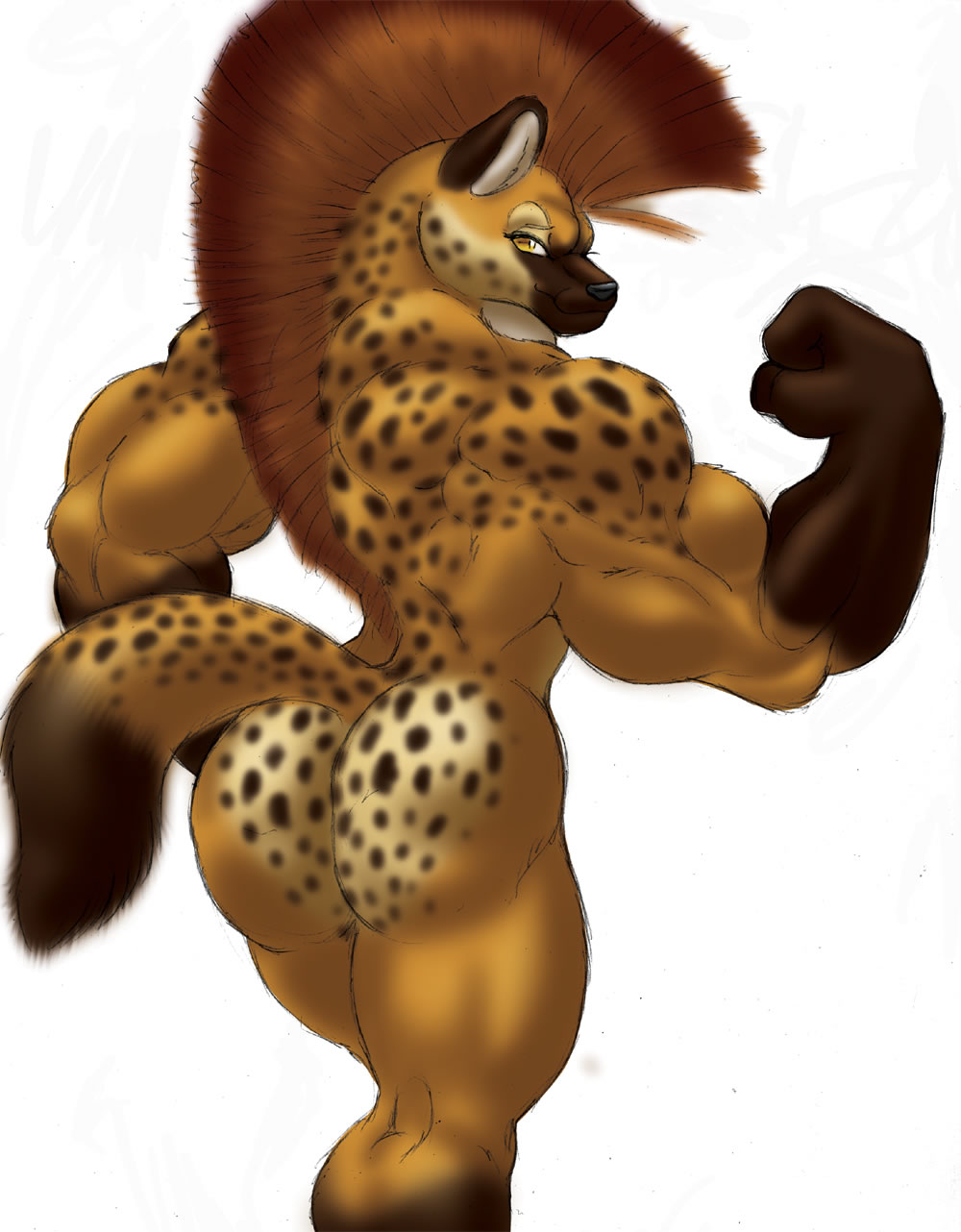 furry.booru.org siterip 96,000~97,999 page 7 full