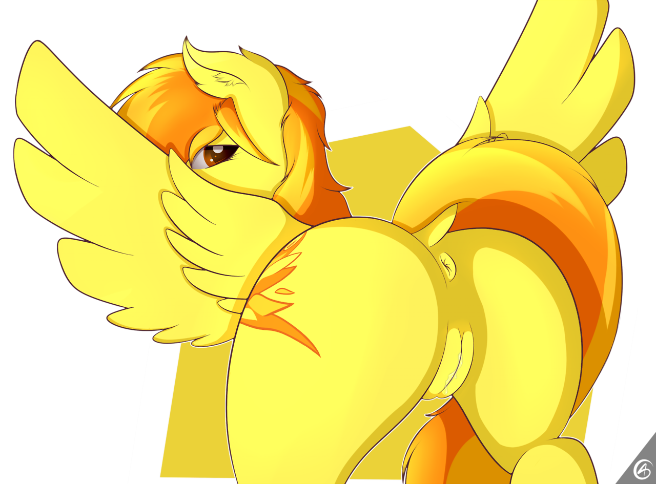 clop.booru.org siterip 2,000~3,999 page 1 full