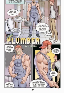 The Plumber