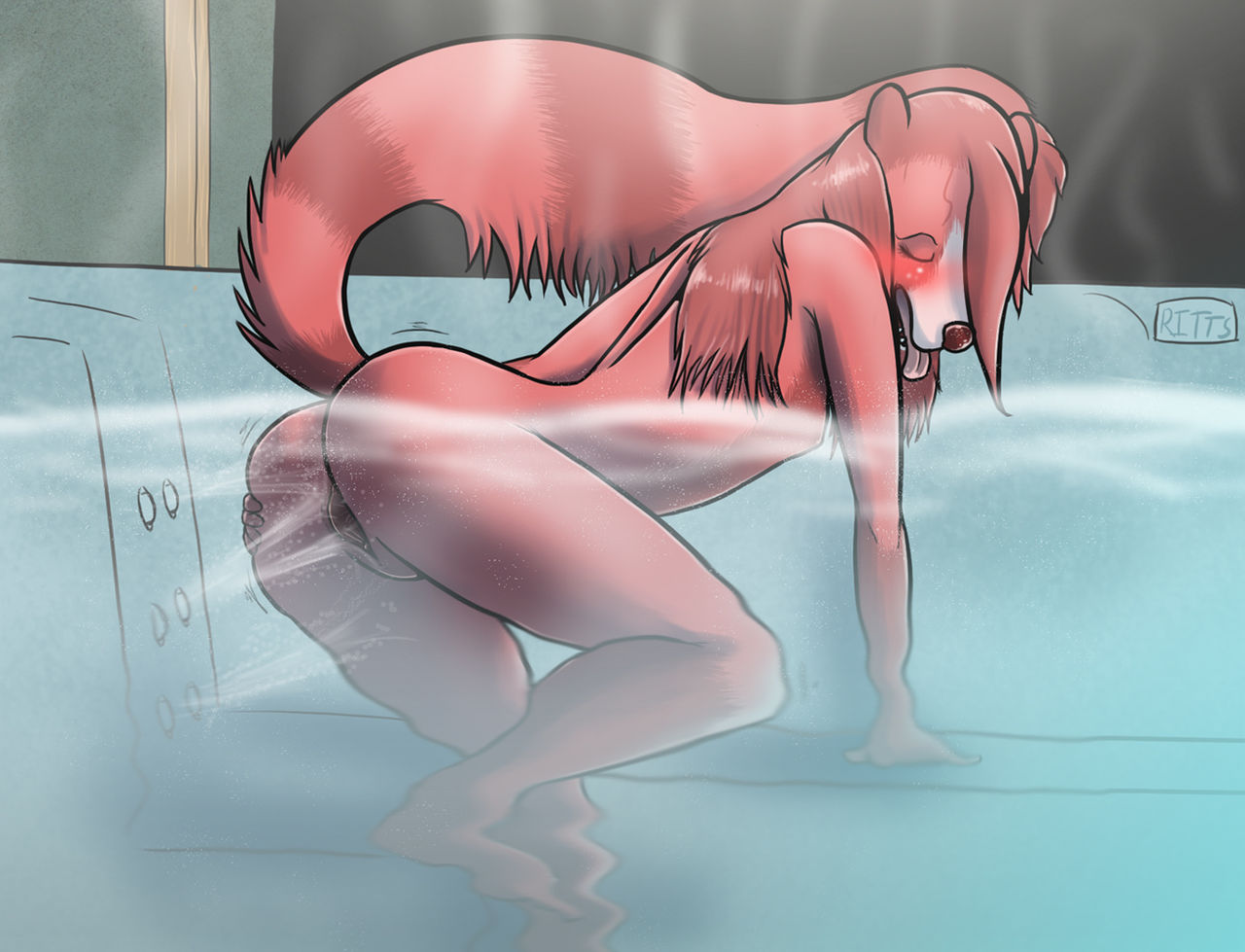 Bikini portfolio page 4 full