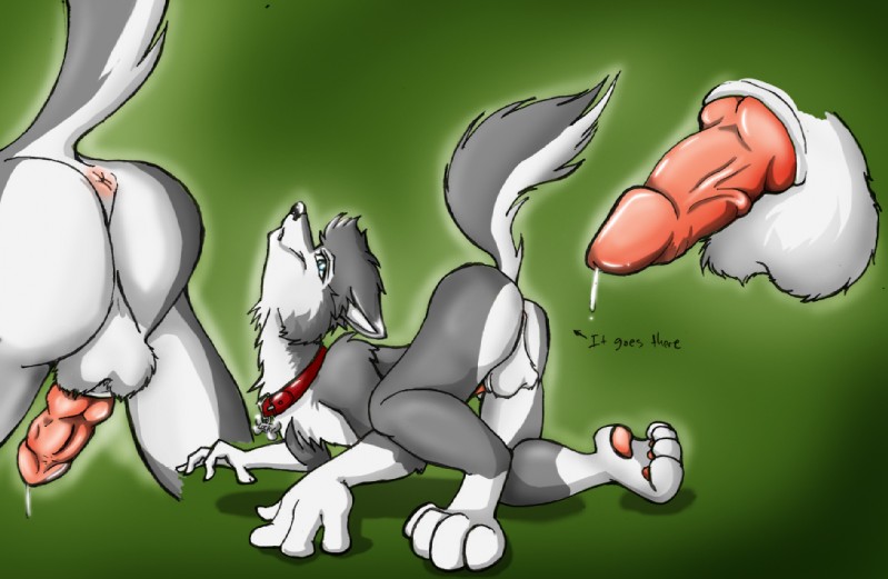 ARTIST Crimsoncanine page 11 full
