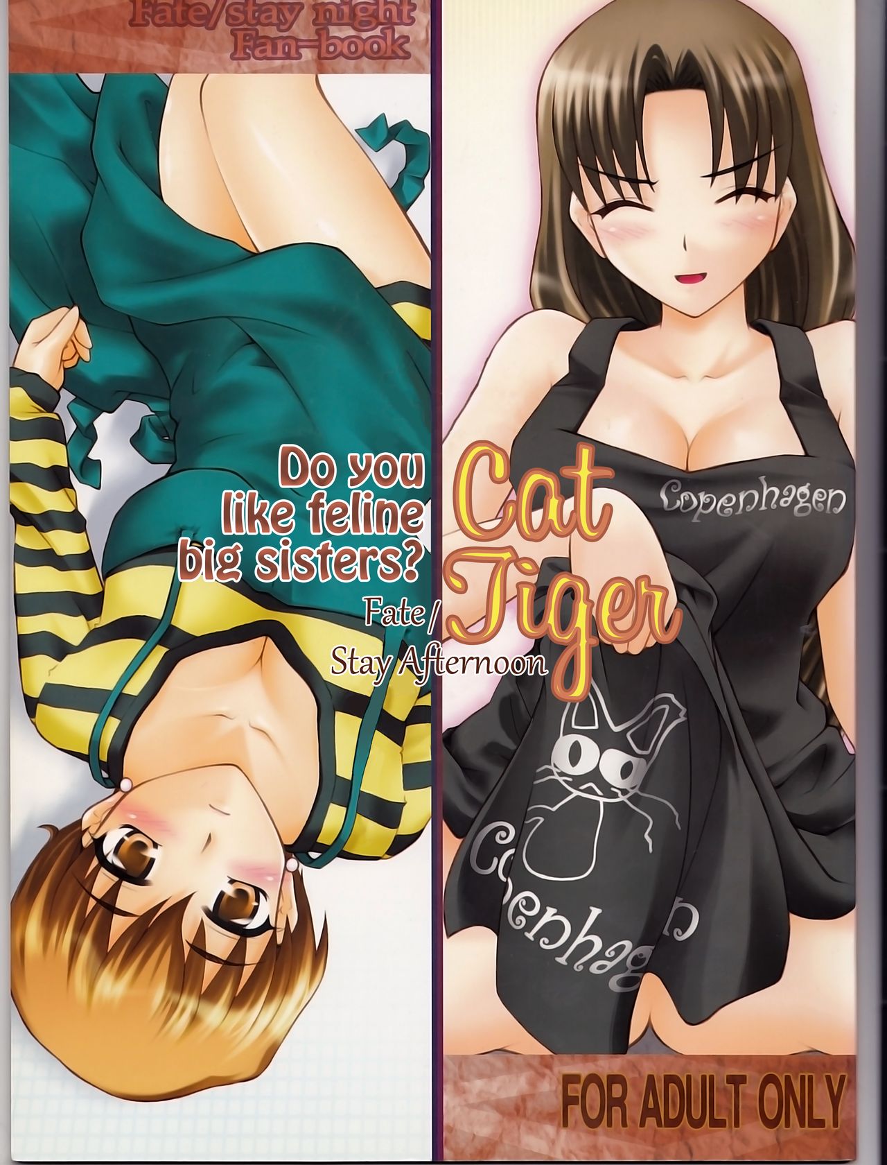 Nekotora -Nekoka no Onee-san wa Suki desu ka?- | Cat Tiger: Do you like feline big sisters? Fate/Stay Afternoon page 1 full