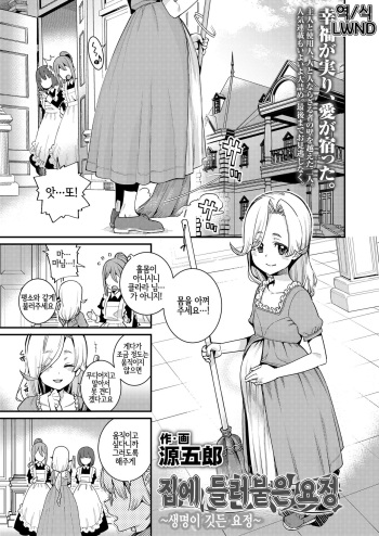 [Gengorou] Ie ni Tsuku You ~Inochi Yadosu Yousei~ | 집에 들러붙은 요정 ~생명이 깃든 요정~ (Towako Kyuu) [Korean] [LWND] [Digital] cover