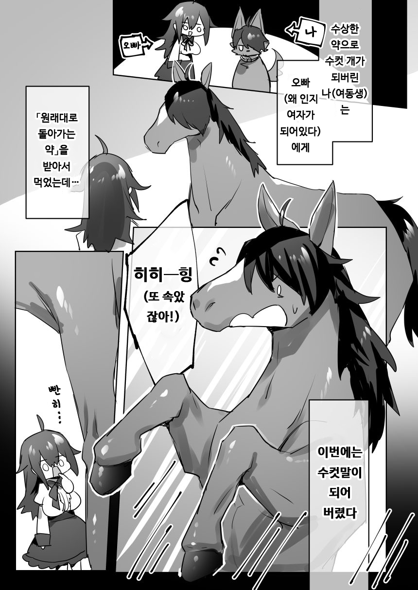 Osuuma ni Natta Imouto to Nyotaika shita Ani ga Nanka Suru Hanashi | 수컷말이 된 여동생과 여체화한 오빠가 뭔가 하는 이야기 page 2 full