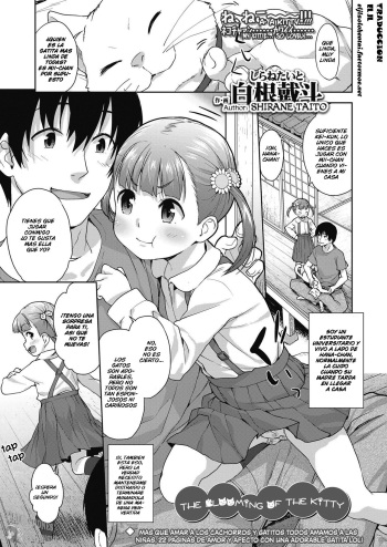 [Shirane Taito] Koneko no Tsubomi | The Blooming of the Kitty (COMIC LO 2019-10) [Spanish][Traducciones JL] [Digital] cover