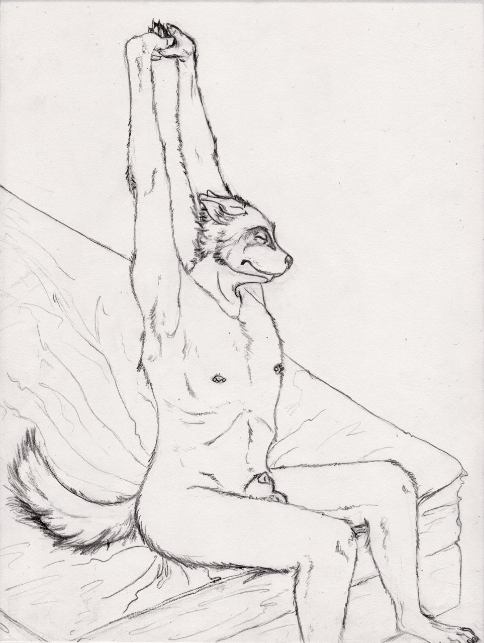 furry.booru.org siterip 174,000~175,999 page 6 full