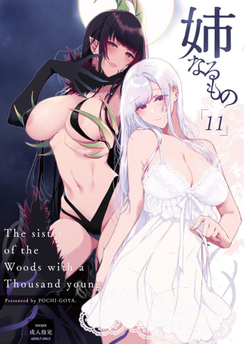 [Pochi-Goya. (Pochi.)] Ane Naru Mono 11 [Sample] cover