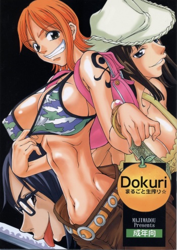 (C63) [Majimadou (Matou)] Dokuri Marugoto Namashibori (One Piece) [English] [hardcase8translates] cover
