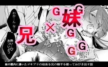 [Haechaimu (smomo)]ゴキ双子 cover