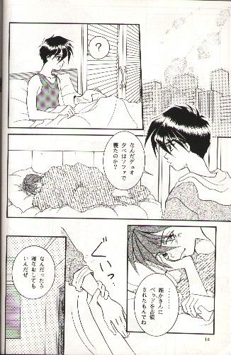 SNOW GARDEN page 11 full