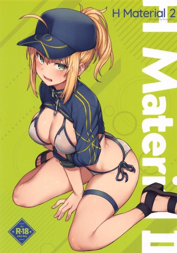 (COMIC1☆17) [OrangeMaru (JP06)] H Material 2 (Fate/Grand Order) cover
