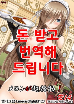 Melon ga Chou Shindou! R14