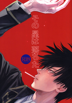 Sono Hoshi wa Ochita