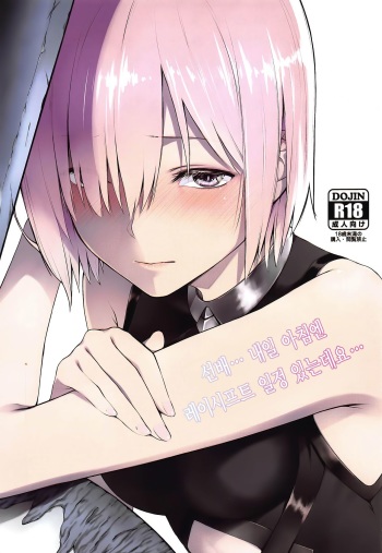(C97) [noantica (O-ji)] "Senpai... Ashita wa Asa kara Rayshift nan desu kedo..." (Fate/Grand Order) [Korean] cover
