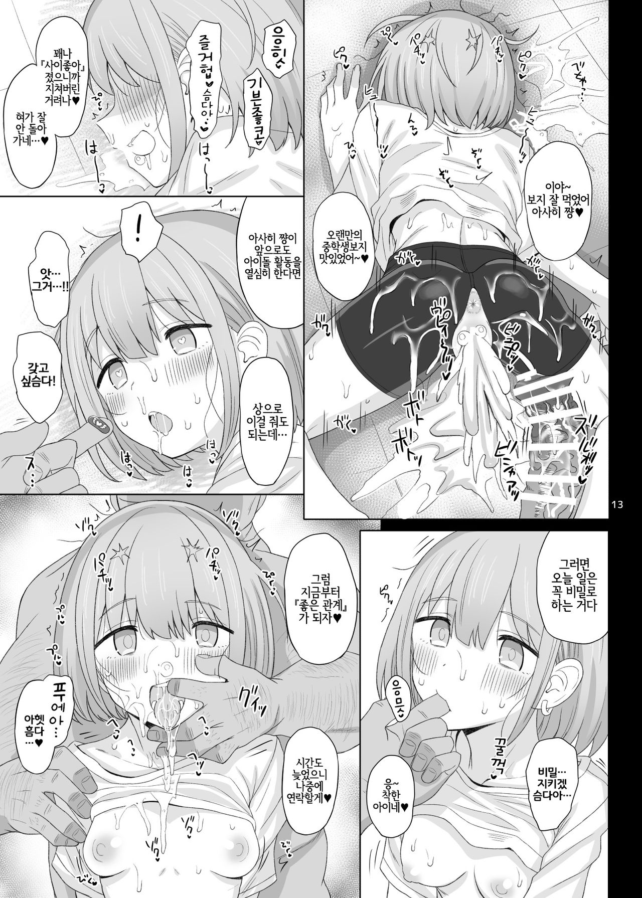 Cinderella Capsule IV Shiny ver page 12 full