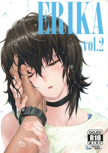 (C93) [SHIOHAMA (Hankotsu MAX)] ERIKA Vol.2 (Girls und Panzer) [Spanish] cover