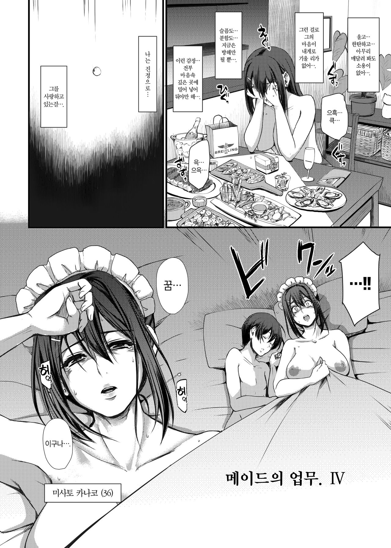 Maid no Oshigoto. Ⅳ | 메이드의 업무. Ⅳ page 11 full