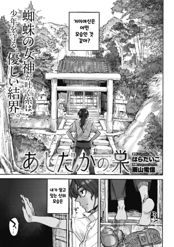 [Ameyama Denshin] Ashidaka no Su | 아시다카의 집 (COMIC GAIRA Vol. 05) [Korean] cover