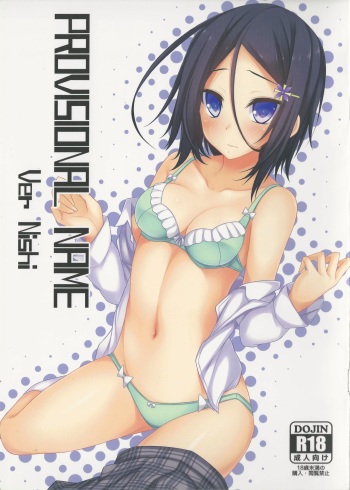 [RainBoy (Stealyy)] PROVISIONAL NAME Ver Nishi cover