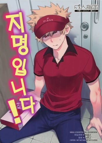 (SPARK13) [Bakuchi Jinsei SP (Satsuki Fumi)] Goshimei desu! | 지명입니다! (Boku no Hero Academia) [Korean] cover